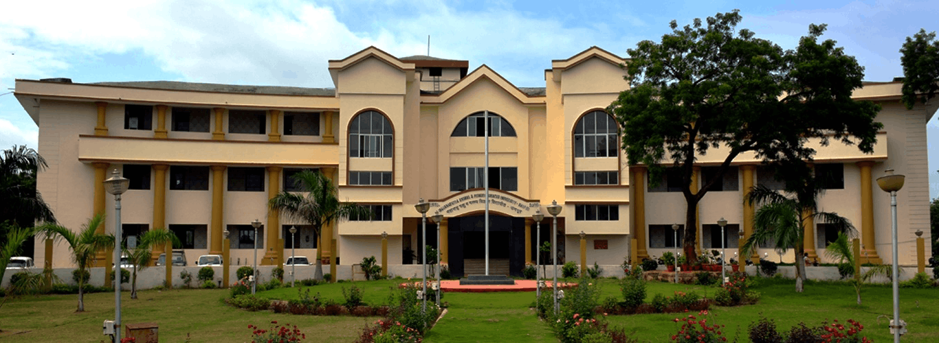 Mafsu Digital Transformation